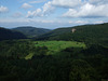 DSCF3667