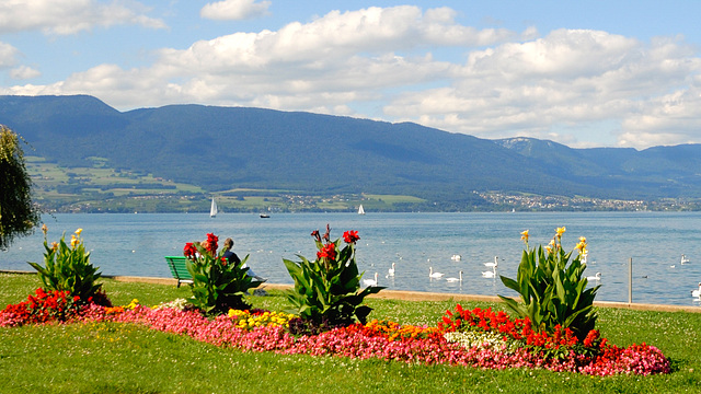 Le lac de Neuchâtel