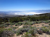 Owens Valley (0201)