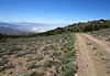 Owens Valley View (0182)