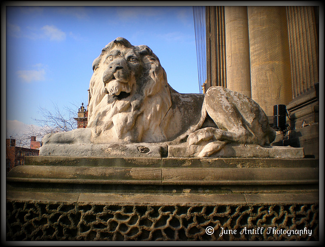 The Protector of Leeds Town Hall !!