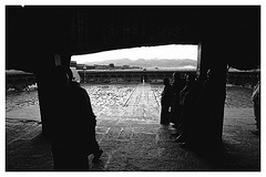 Hiding from the Rain with Monks