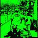 Arrow Head Arizona's calves / Les beaux mollets Arizoniens en Floride - Disney Horror pictures show - Orlando, Florida - USA - 30 décembre 2006 - Bichromie en jaune / Yellow high contrast