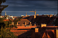 red_roofs