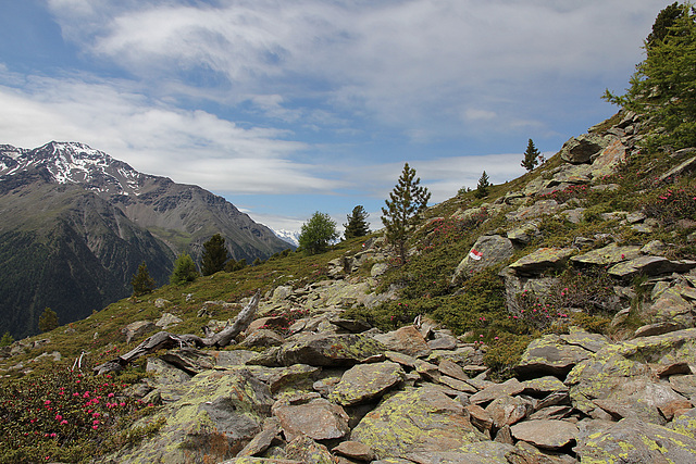 über Stock und Stein auf 2400 m