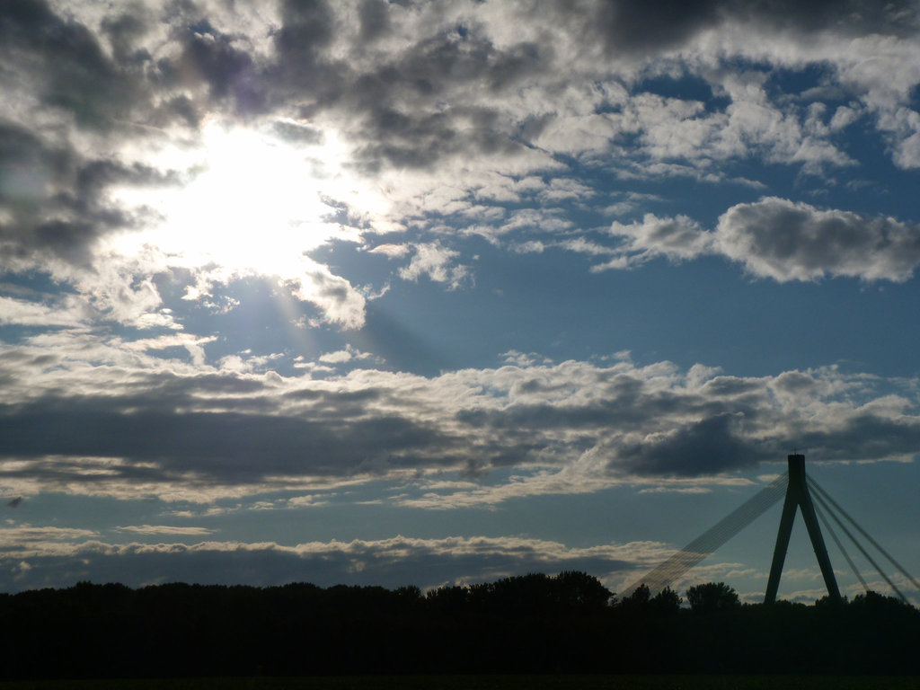 Pylonbrücke bei Speyer