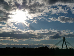 Pylonbrücke bei Speyer