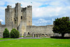 Trim Castle