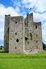 Trim Castle