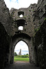 Trim Castle