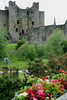 Trim Castle