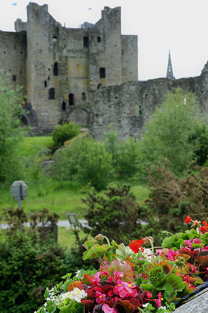 Trim Castle