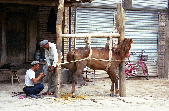 Shoeing a horse, Kashgar