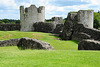 Trim Castle