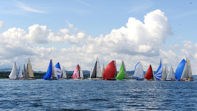 Régate Voile d'Or