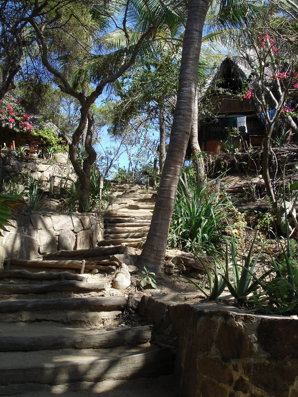 Zipolite, Oaxaca - Mexico / Mexique / 15 janvier 2011.