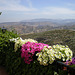 Vistas desde mi jardín en Granada