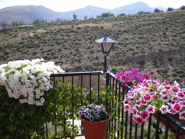 Vistas desde mi jardín en Granada