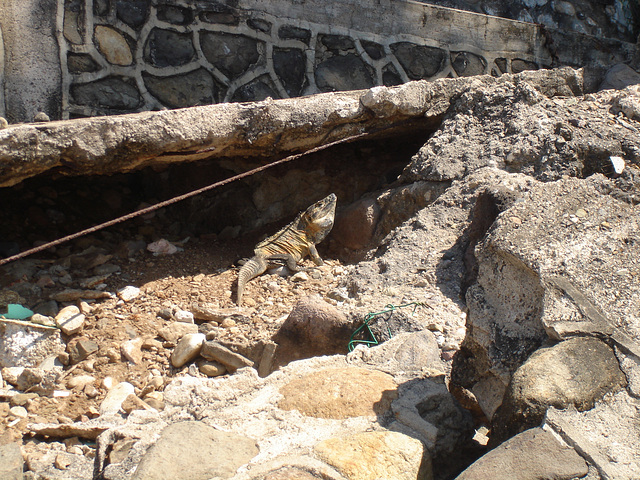 La Peñita de Jaltemba, Nayarit / Mexique - 21 février 2011.