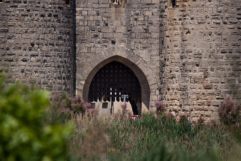 20110606 5073RTw [F] Aigues-Mortes, Camargue