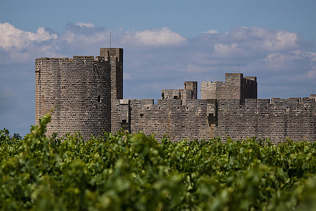 20110606 5071RTw [F] Aigues-Mortes, Camargue