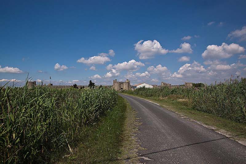 20110606 5069RWw [F] Aigues-Mortes, Camargue