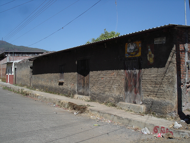 Los Reyes, Michoacán / Mejico - Mexique -  27 mars 2011