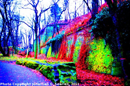 Ivy in Petrinske Sady, High-Saturation Edit 2, Prague, CZ, 2011