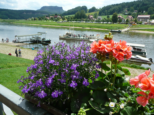 Romantisches Elbtal bei Rathen