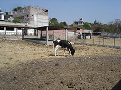 Ixtapan de la sal, Mexico DF - 5 avril 2011