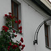 Rosenfenster