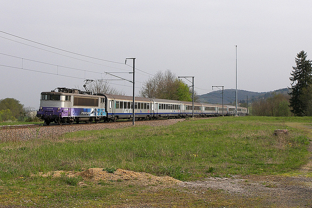 Jacquemin au pied du Jura