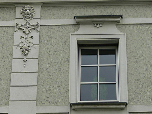 Fenster in Weiden