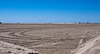 20110528 3954RAw [F] Strand l'Espiguette, Le Grau du Roi, Camargue