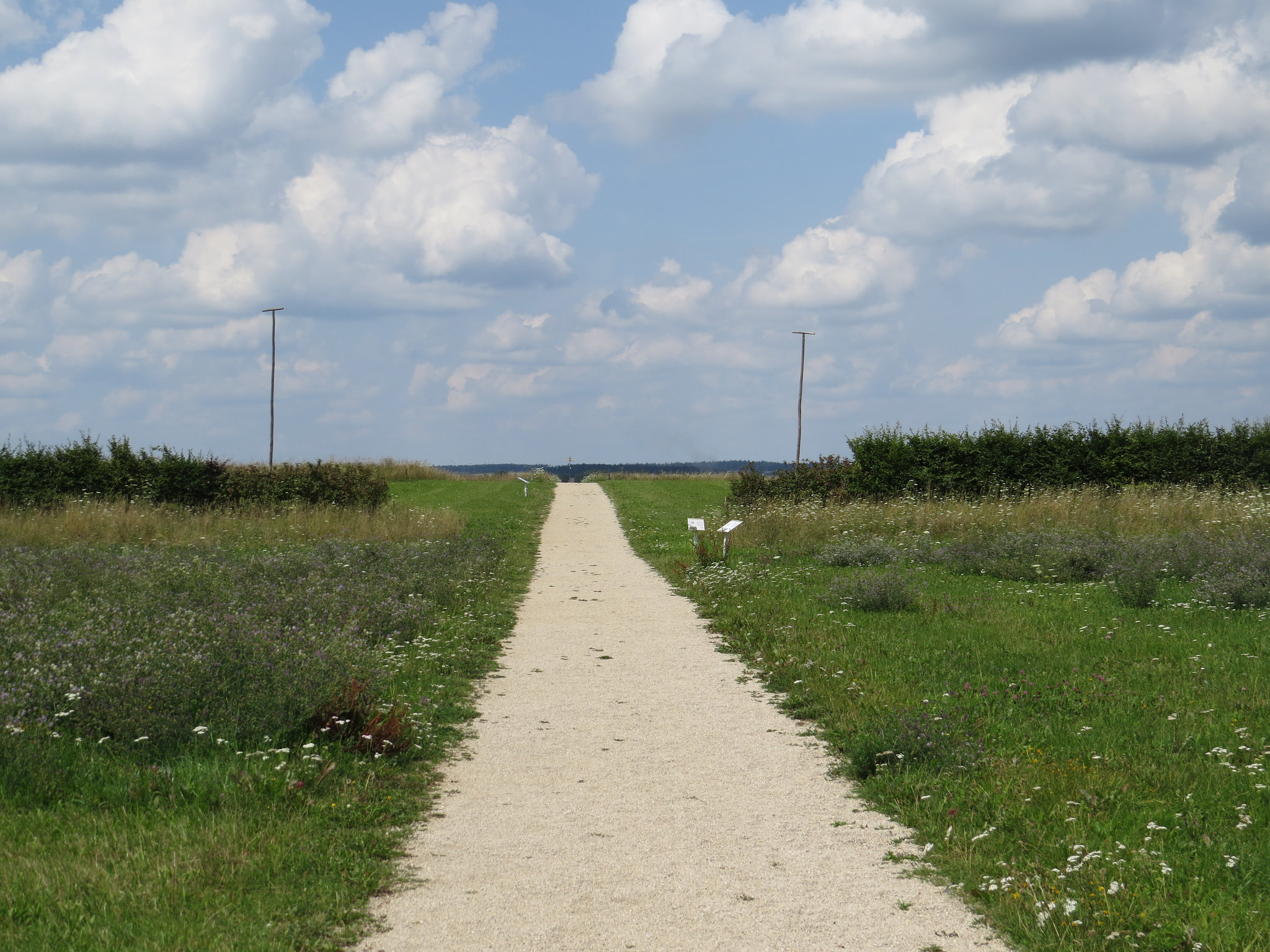 Ruffenhofen : via principalis du camp.