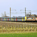 Danseuse petite cabine en Bourgogne