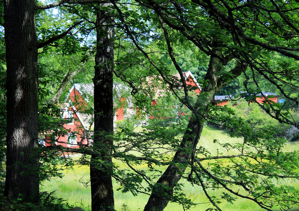 Ein schöner Platz zum Wohnen