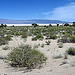 Owens Lake Viewed From Railroad Bed