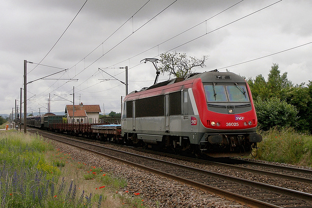 Astride rouge sur la 15