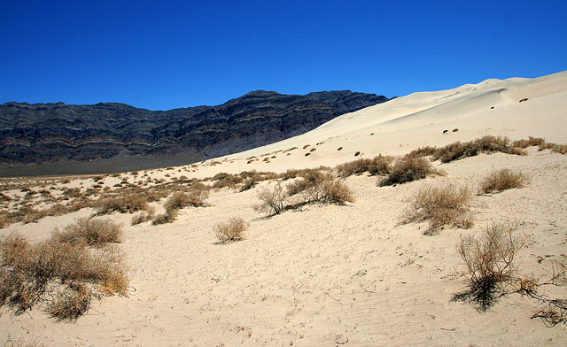 Eureka Dunes (0530)