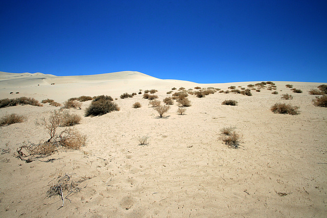 Eureka Dunes (0531)