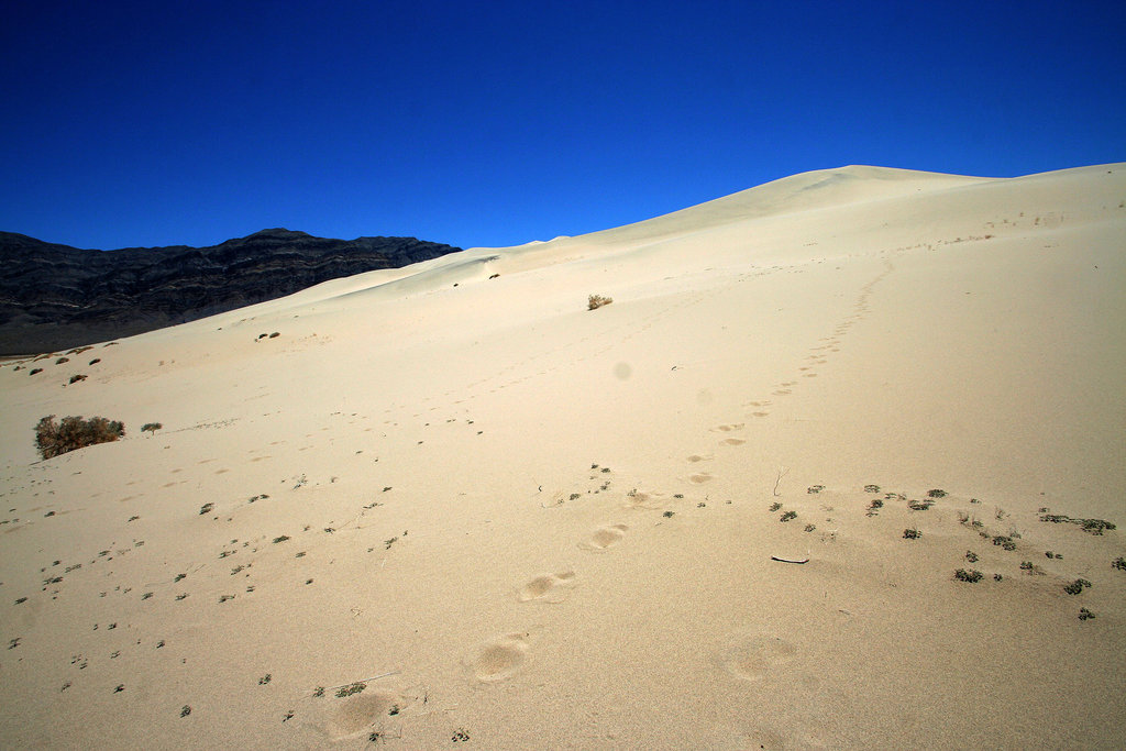 Eureka Dunes (0534)