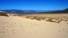 Eureka Dunes (0535)