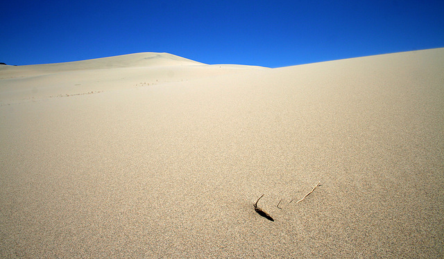 Eureka Dunes (0536)