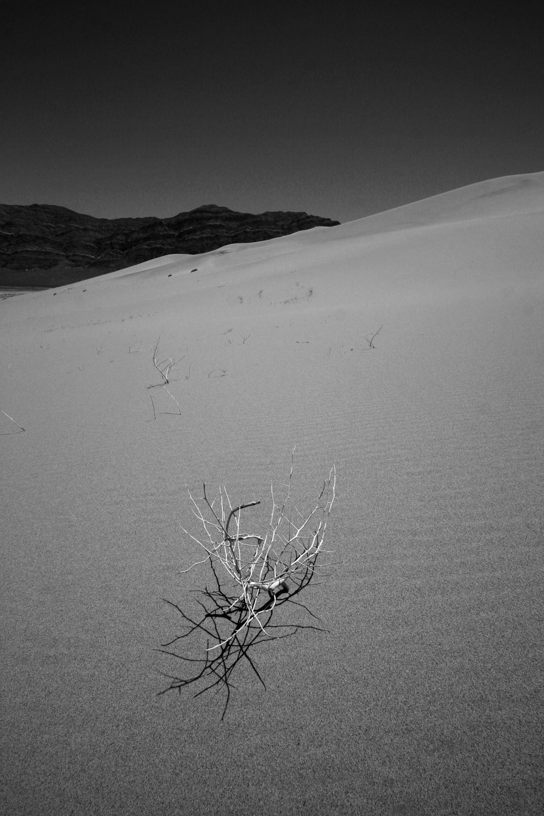 Eureka Dunes (0537A)