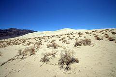 Eureka Dunes (0542)