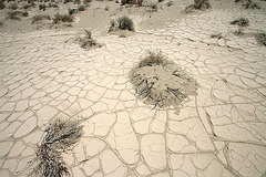 Eureka Dunes Area (0527)