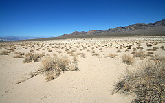 Eureka Dunes Area (0529)