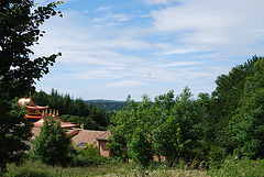 Dans son écrin de verdure...Lerab ling