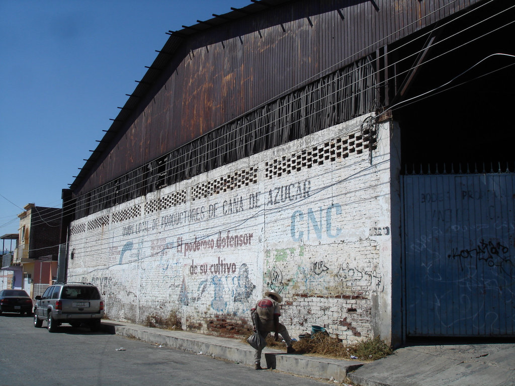 Los Reyes, Michoacán / Mejico - Mexique -  27 mars 2011